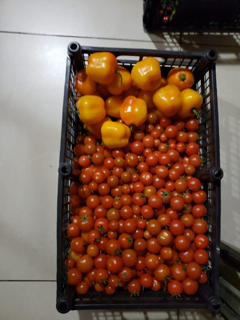 Cherry a las Hierbas Finas!